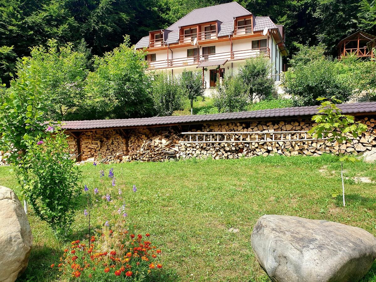 Гостевой дом Pensiunea Vila Casoca Muşceluşa